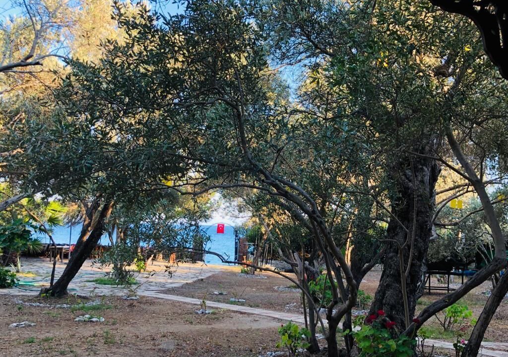 Photo of Bedroom in Hayitbuku