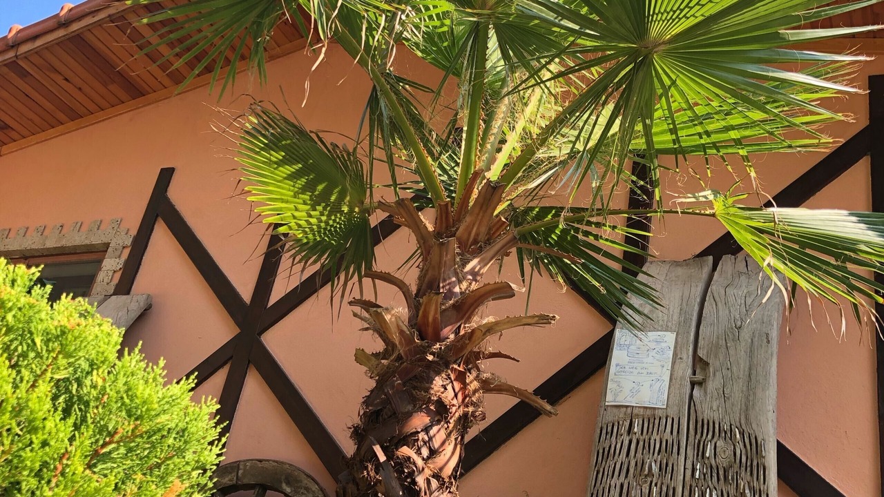Photo of Outdoor in Cirali