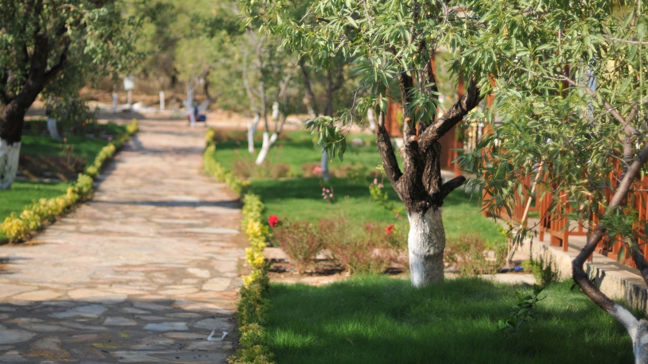 Photo of Outdoor in Datca