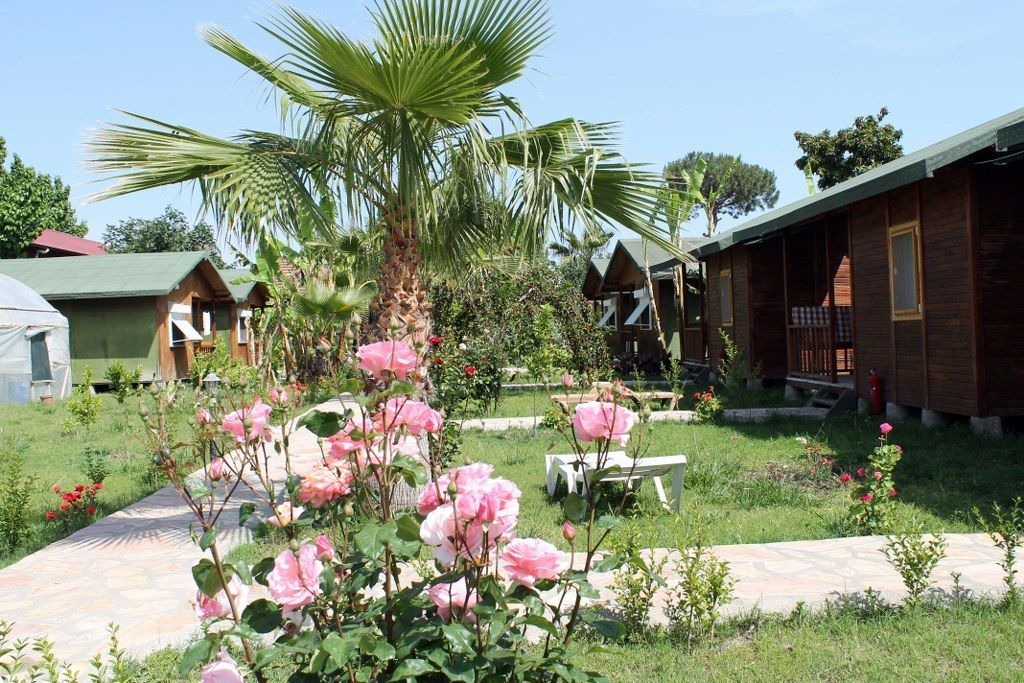 Photo of Outdoor in Cirali