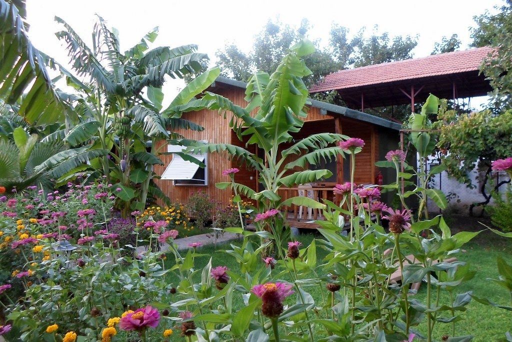 Photo of Outdoor in Cirali