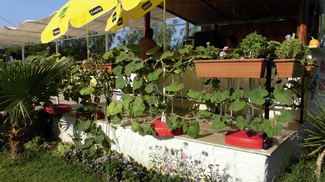 Photo of Outdoor in Dalyan City Center