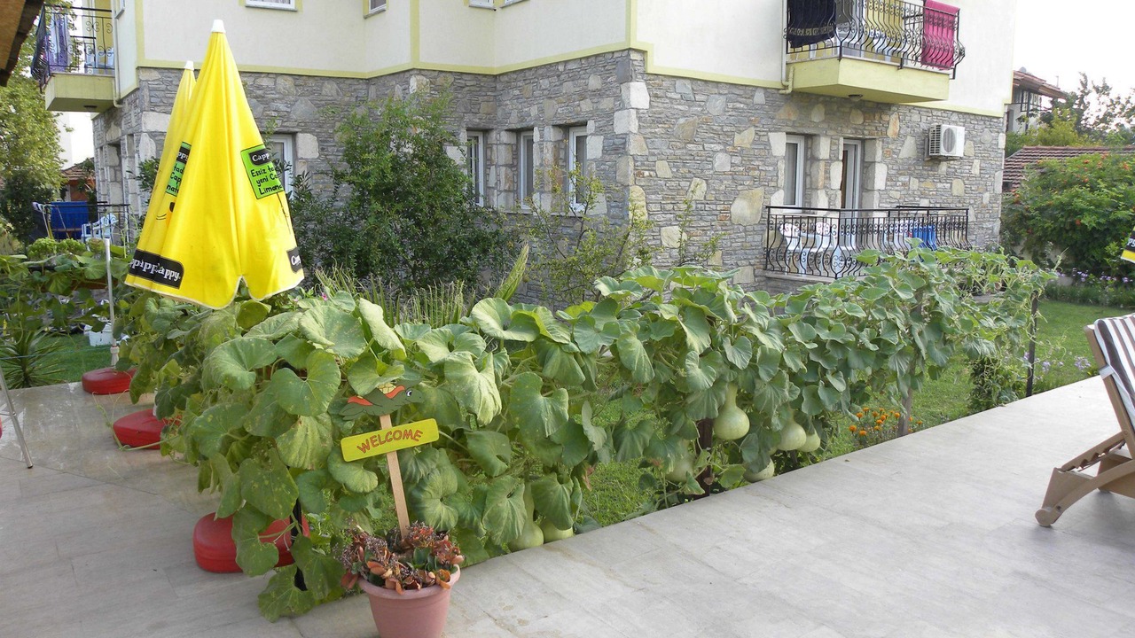 Photo of Outdoor in Dalyan City Center