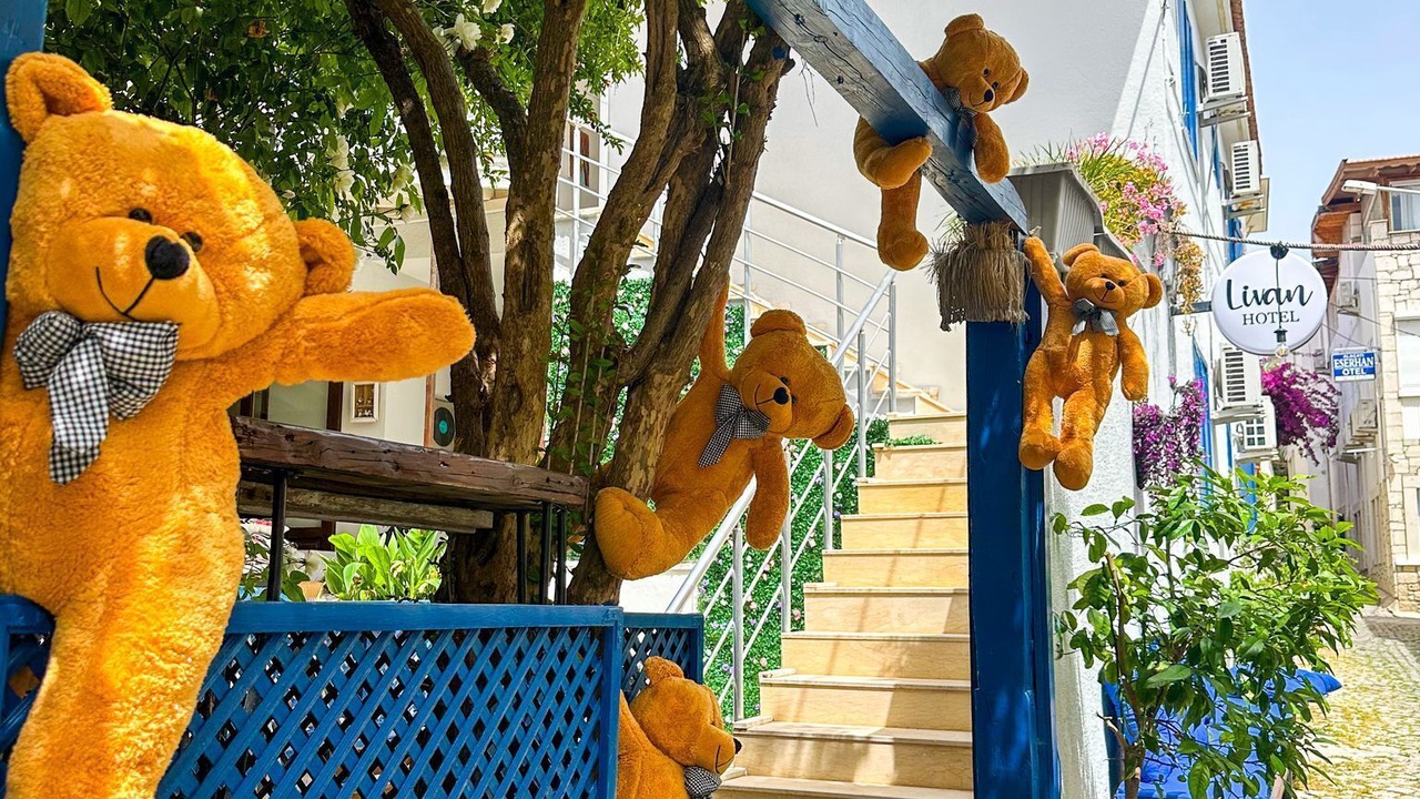 Photo of Outdoor in Tokoglu