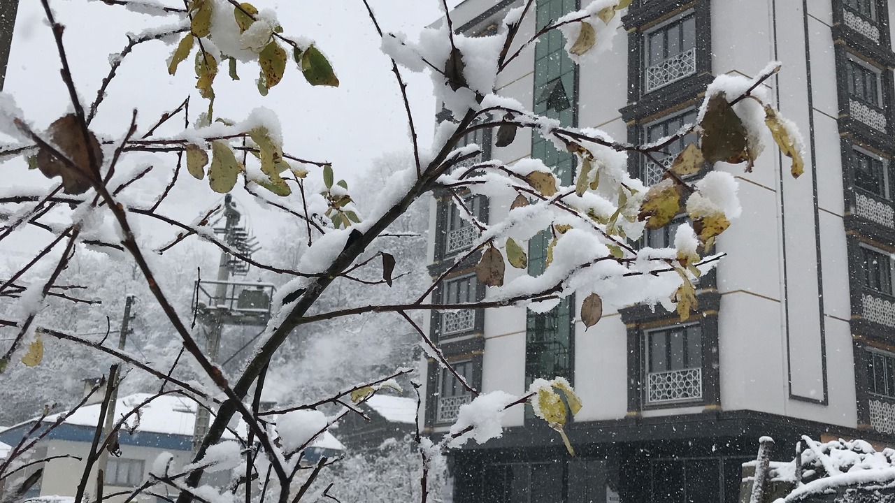 Photo of Outdoor in Uzungol