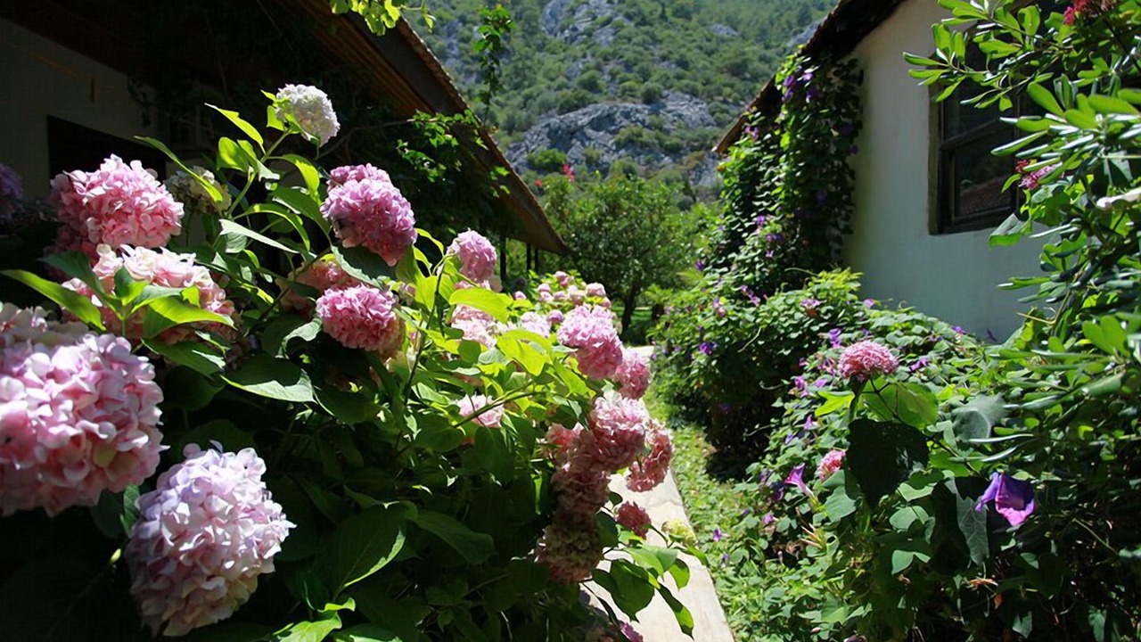 Photo of Outdoor in Cirali