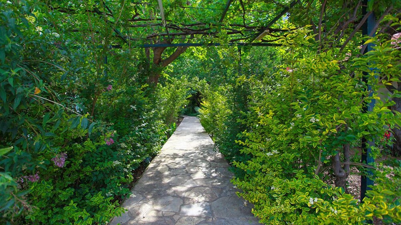 Photo of Outdoor in Cirali