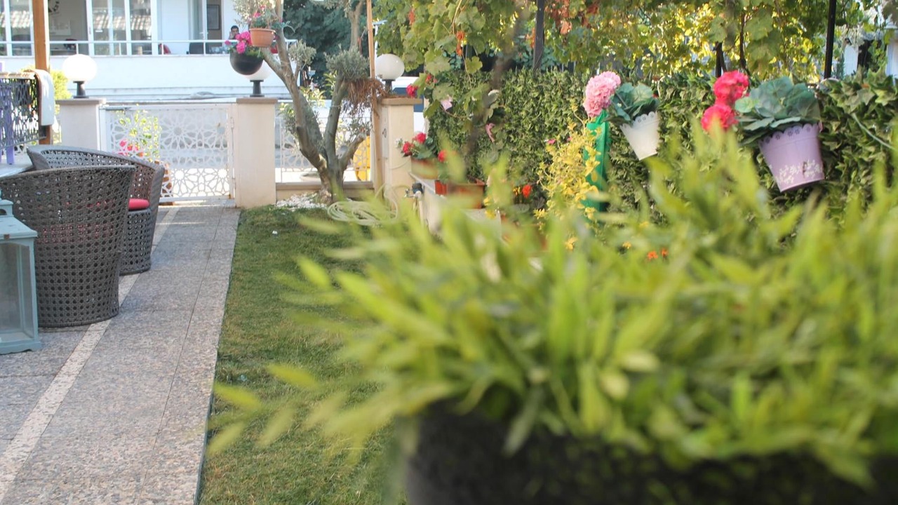Photo of Outdoor in Dikili