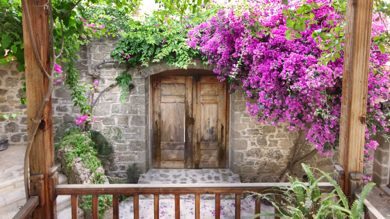 Photo of Bedroom in Datca