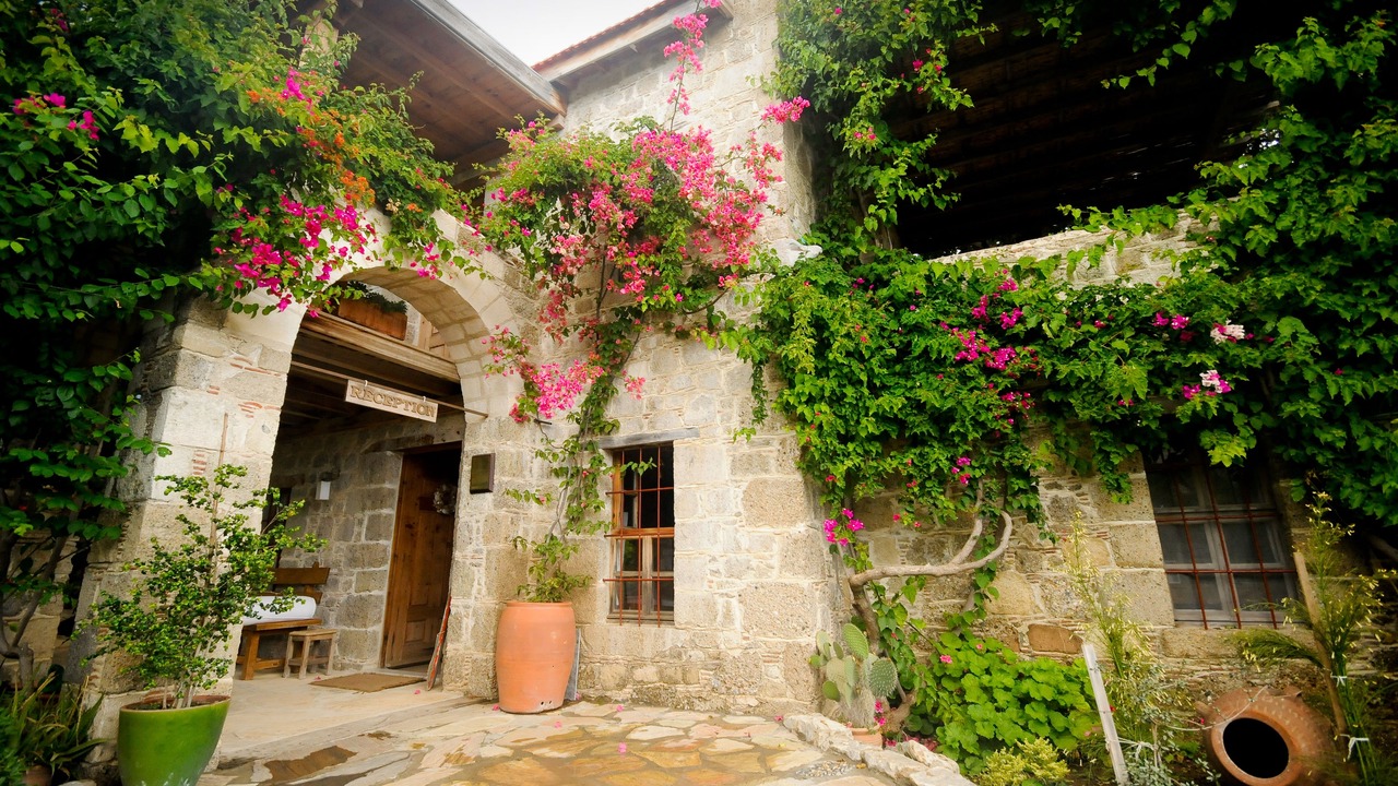 Photo of Others in Datca