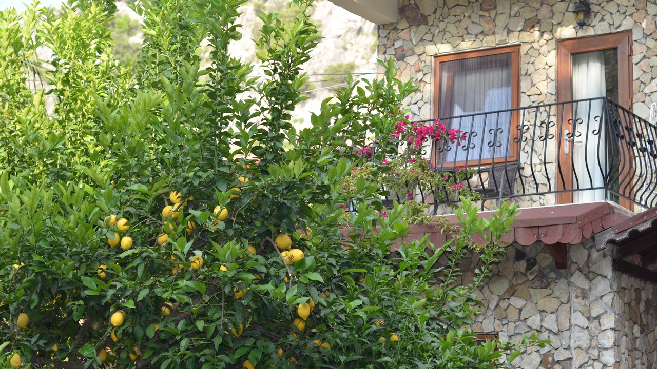 Photo of Outdoor in Cirali