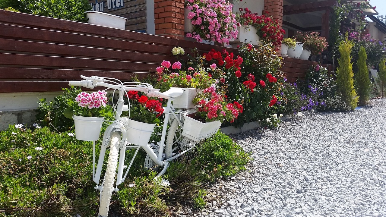 Photo of Outdoor in Urla