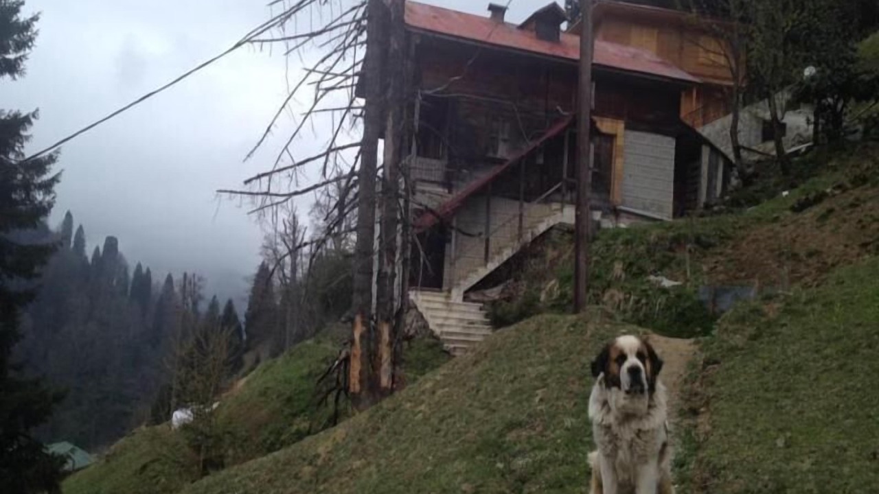 Photo of Outdoor in Ayder Yaylasi