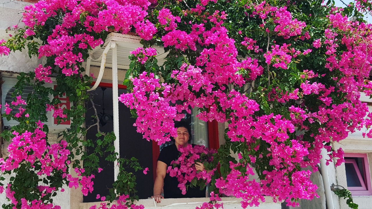 Photo of Others in Alacati