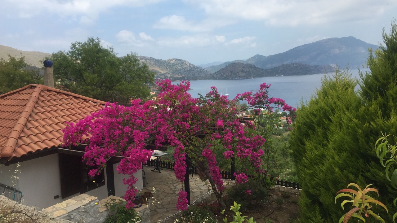 Photo of Others in Selimiye