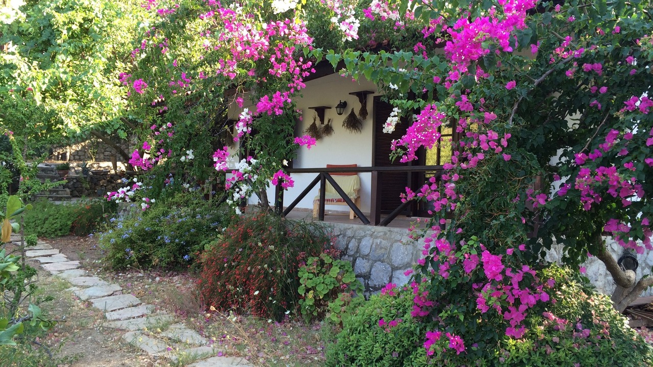 Photo of Outdoor in Selimiye