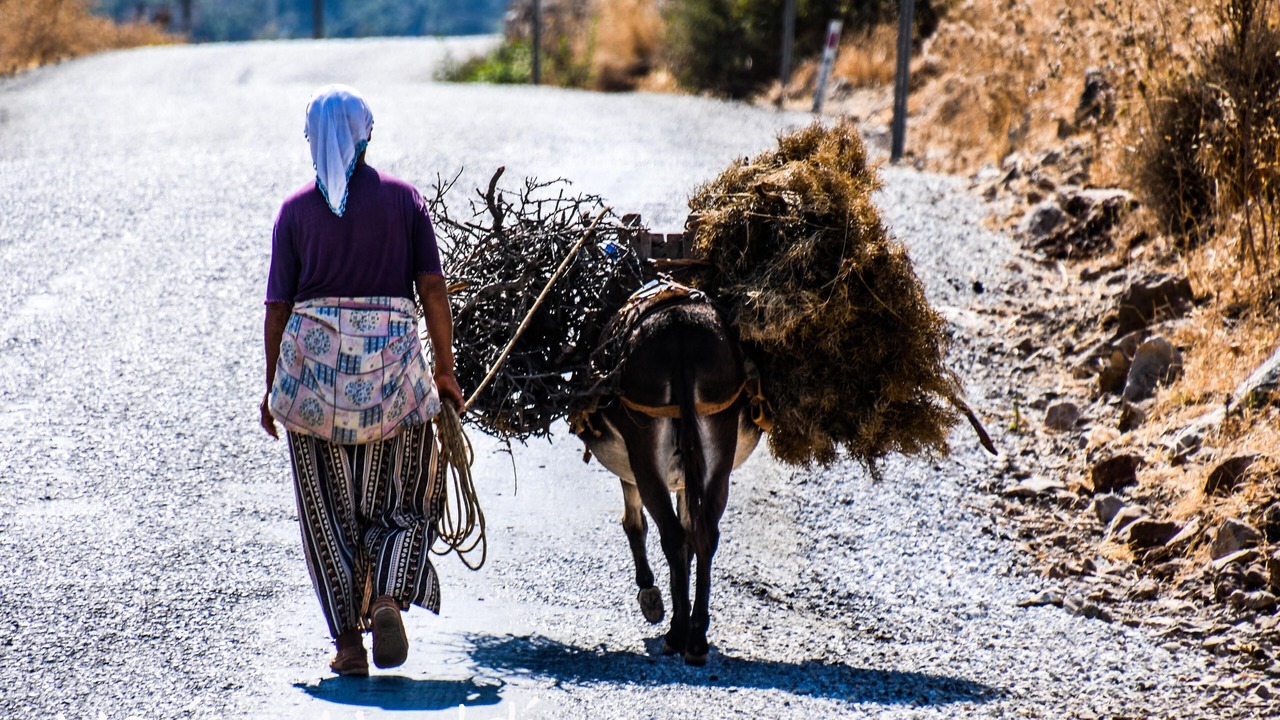 Photo of Outdoor in Selimiye