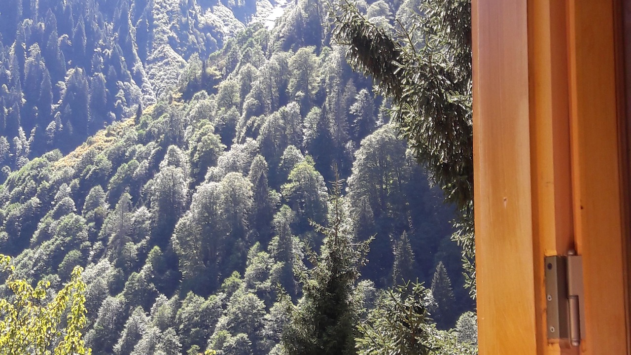 Photo of Others in Ayder Yaylasi
