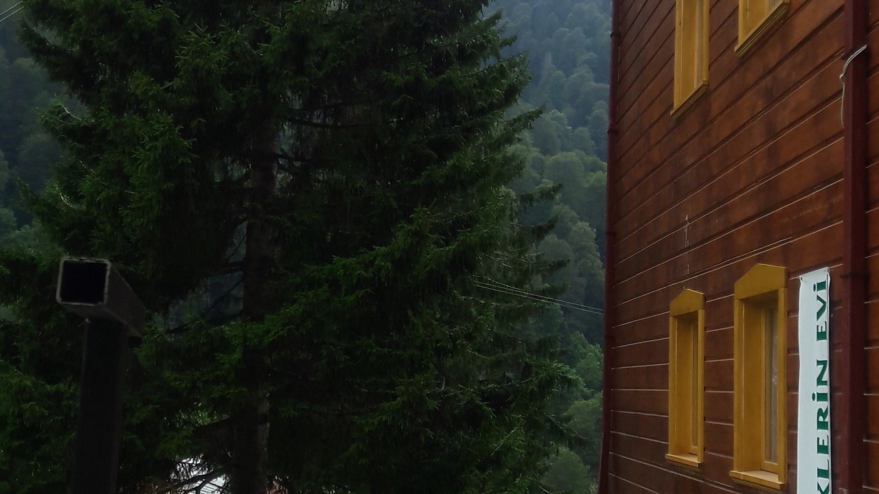 Photo of Patio Balcony in Ayder Yaylasi