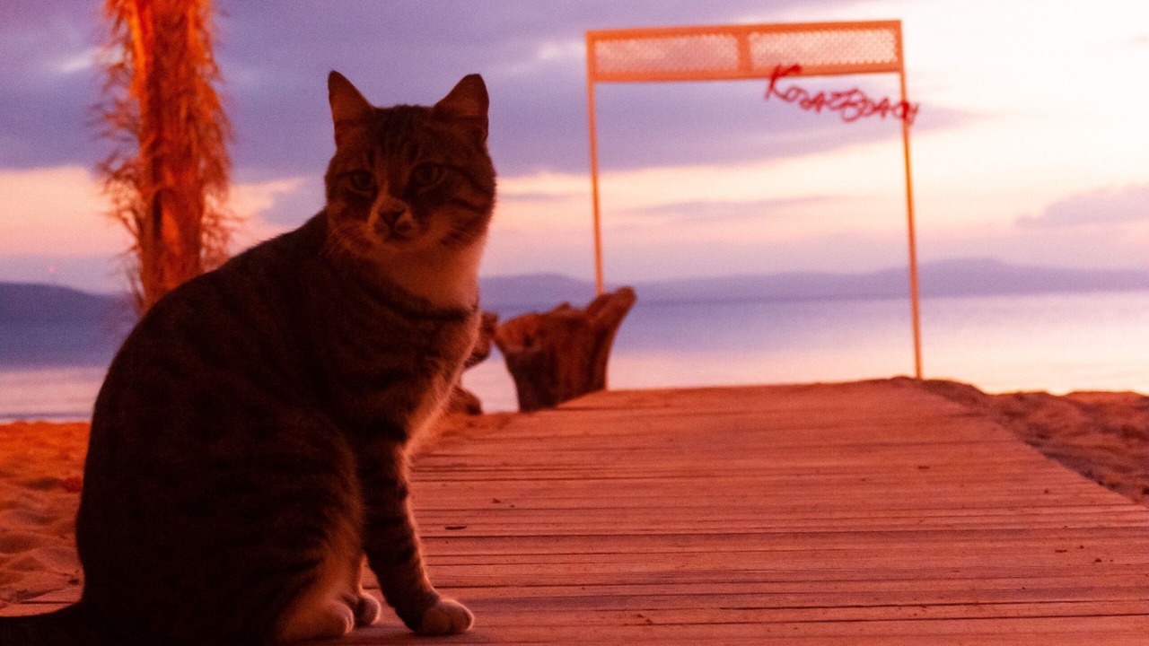 Photo of Others in Erdek