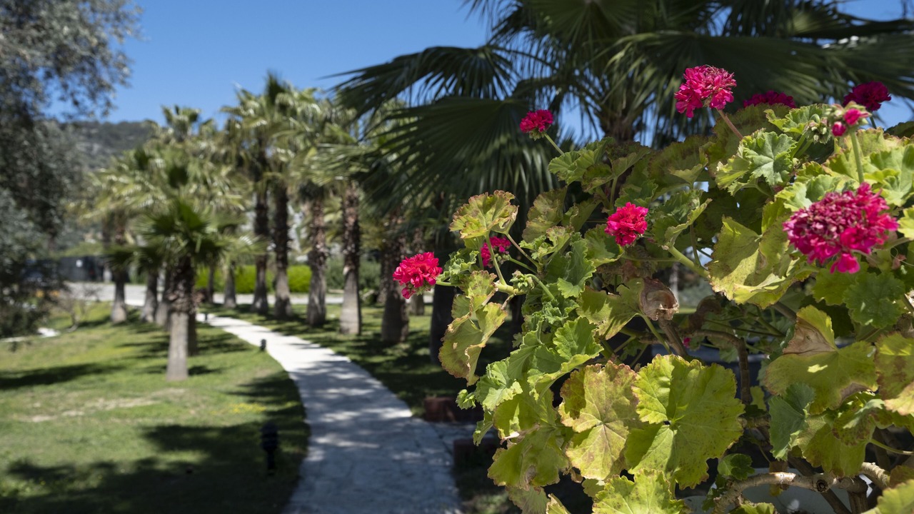 Photo of Outdoor in Sarigerme