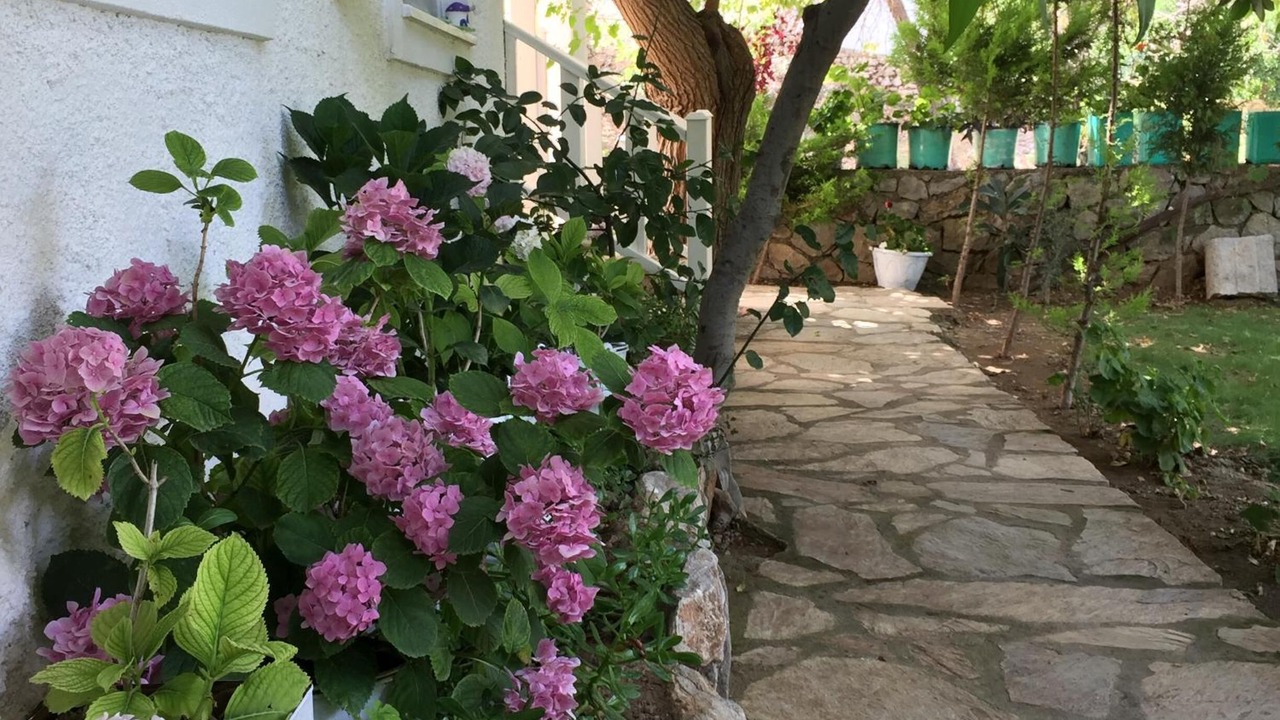 Photo of Outdoor in Selimiye