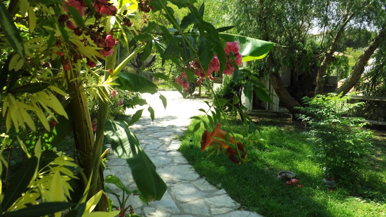 Photo of Outdoor in Selimiye