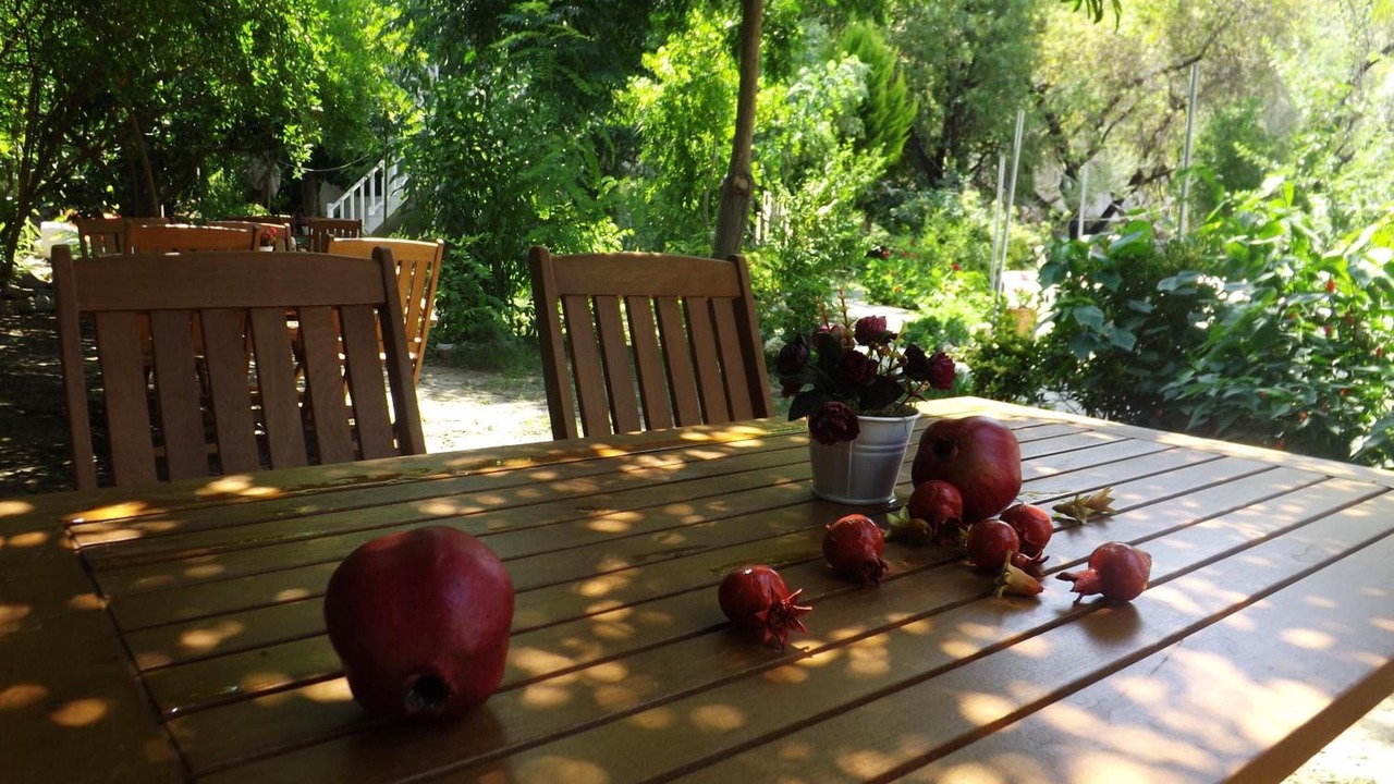 Photo of Outdoor in Selimiye