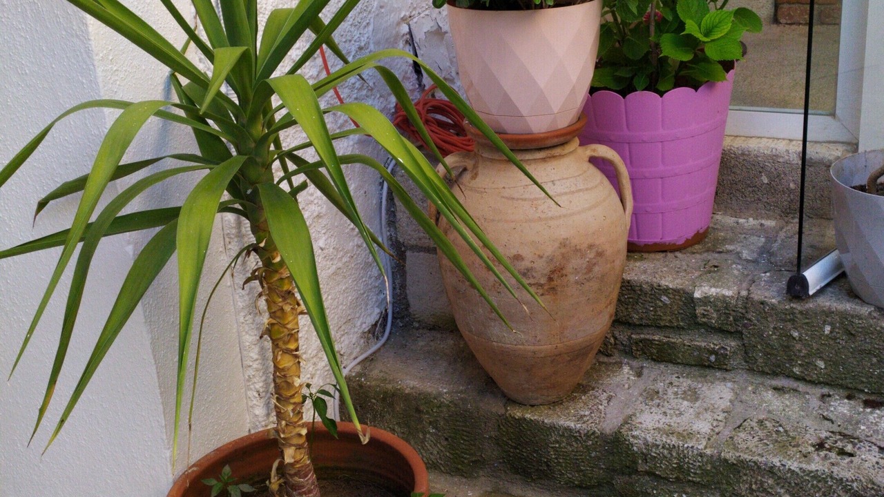 Photo of Outdoor in Hacımemis