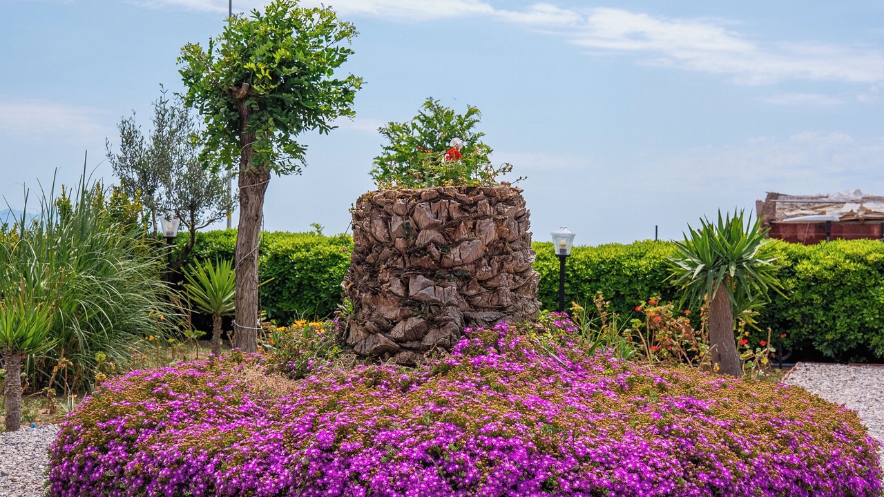 Photo of Outdoor in Sarimsakli