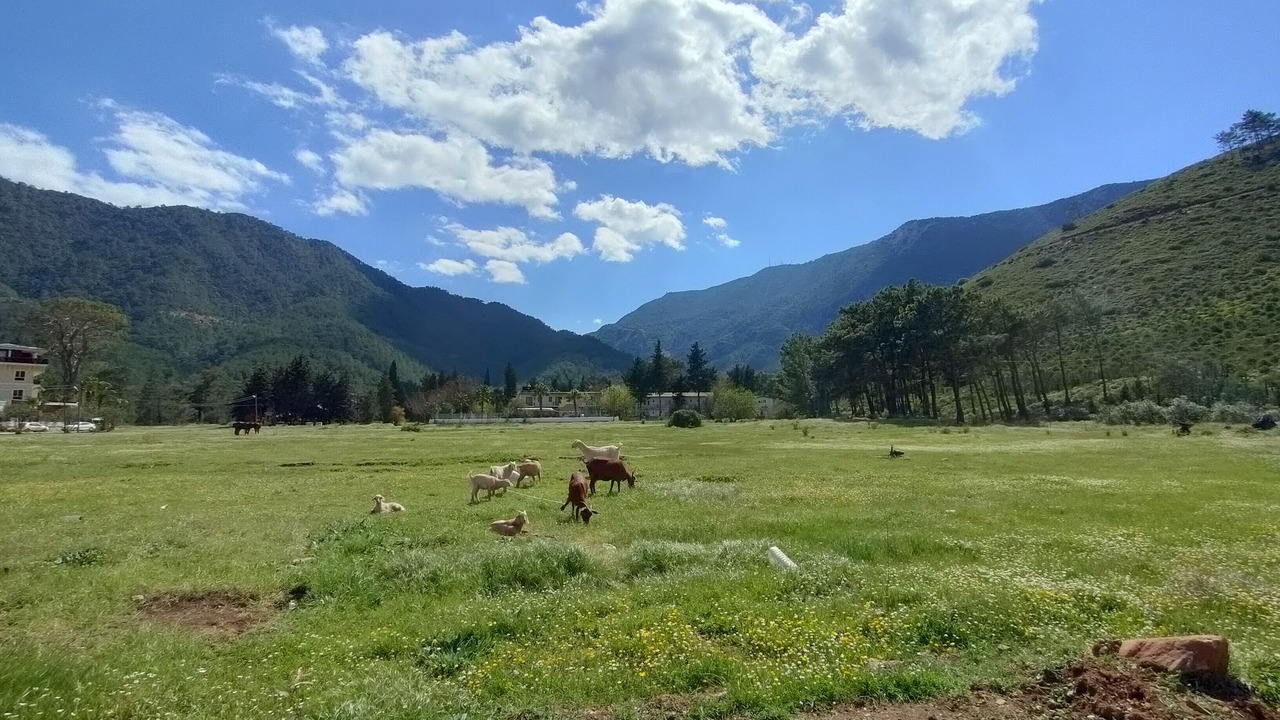 Photo of Outdoor in Adrasan