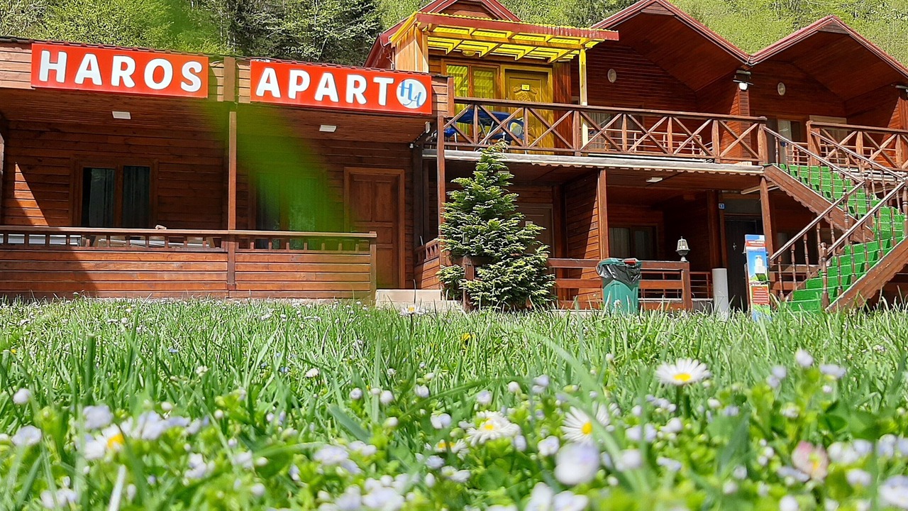 Photo of Outdoor in Uzungol