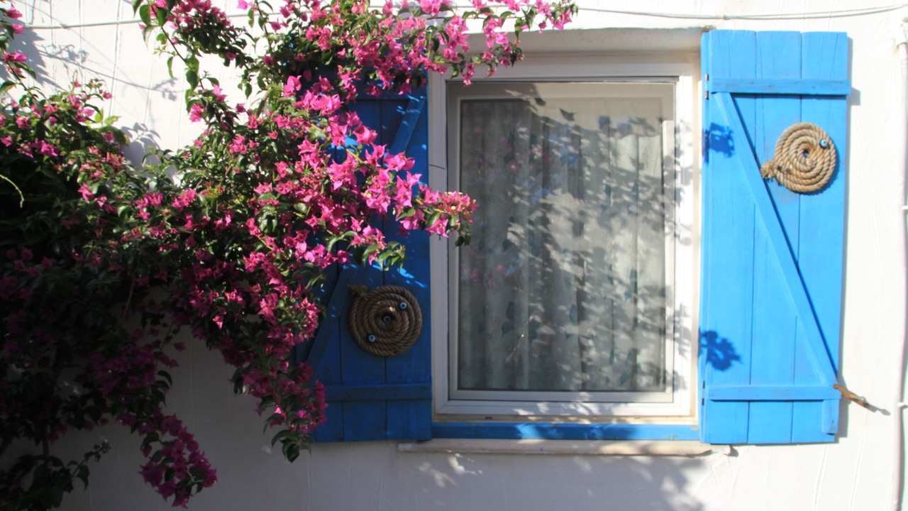 Photo of Outdoor in Old Datca