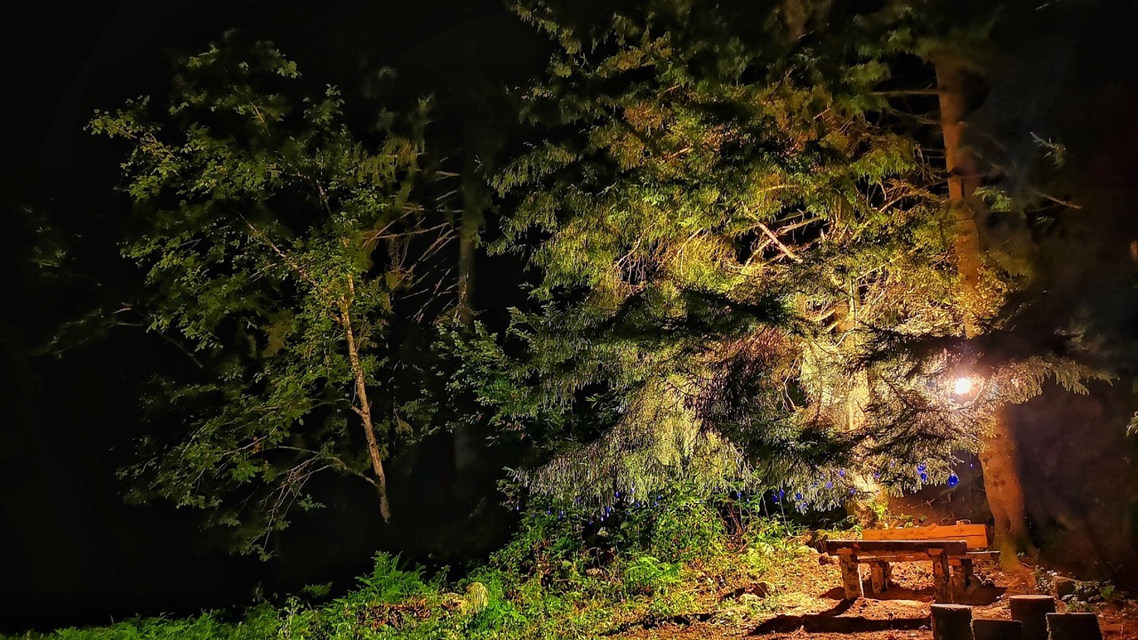 Photo of Outdoor in Ayder