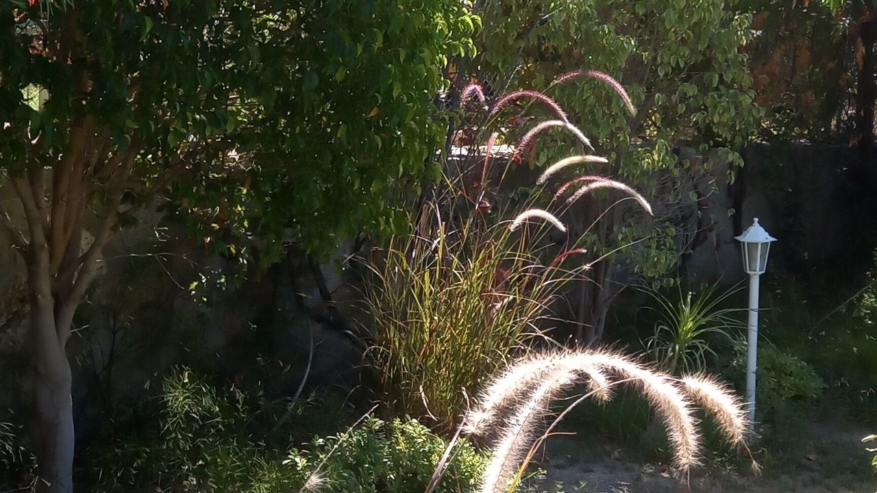 Photo of Outdoor in Mesudiye