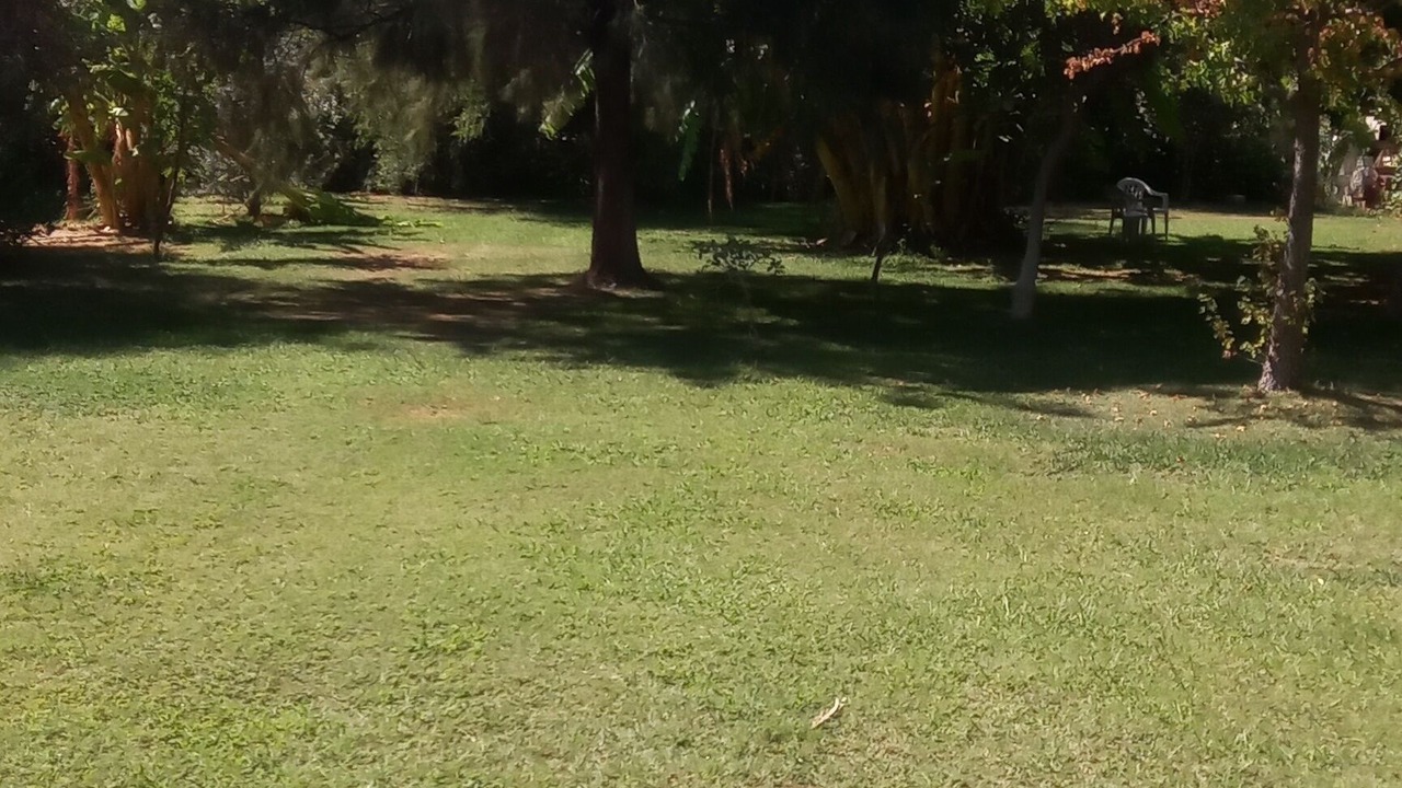 Photo of Outdoor in Mesudiye