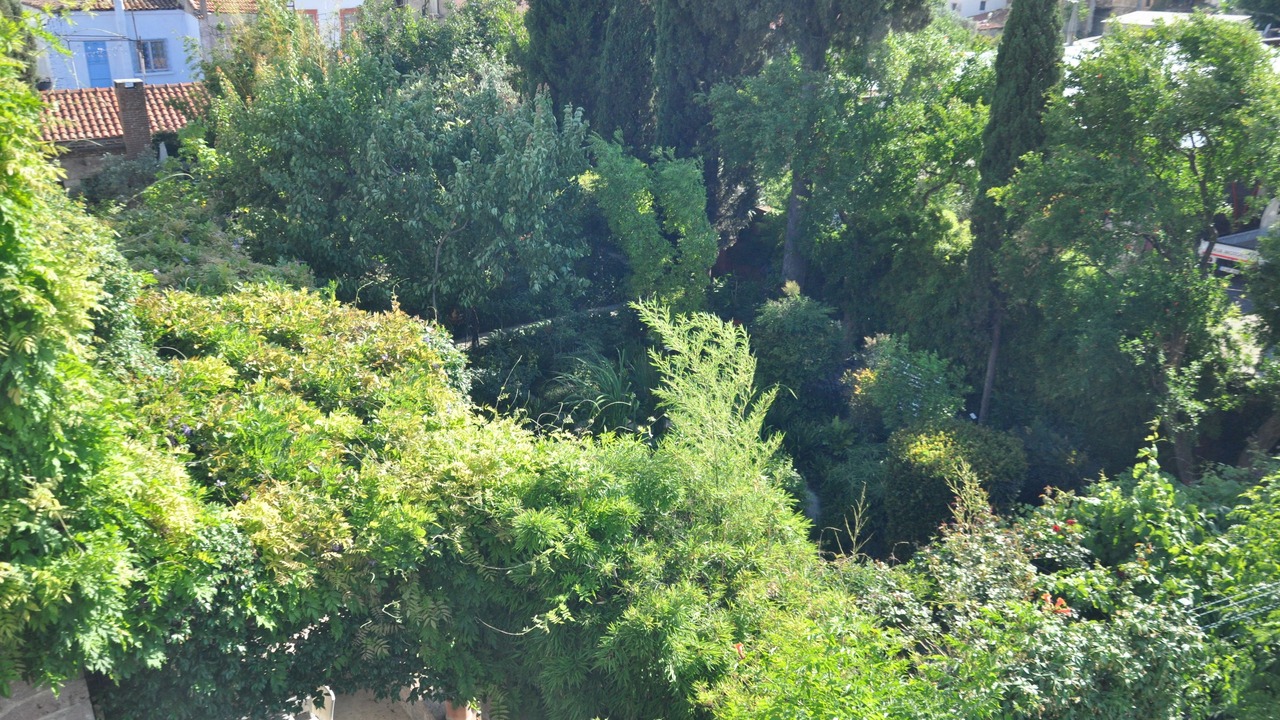 Photo of Others in Ayvalik City Center