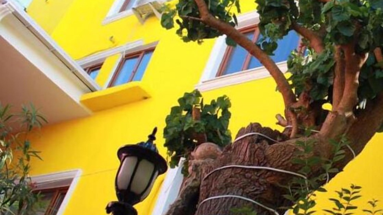 Photo of Patio Balcony in Sultanahmet