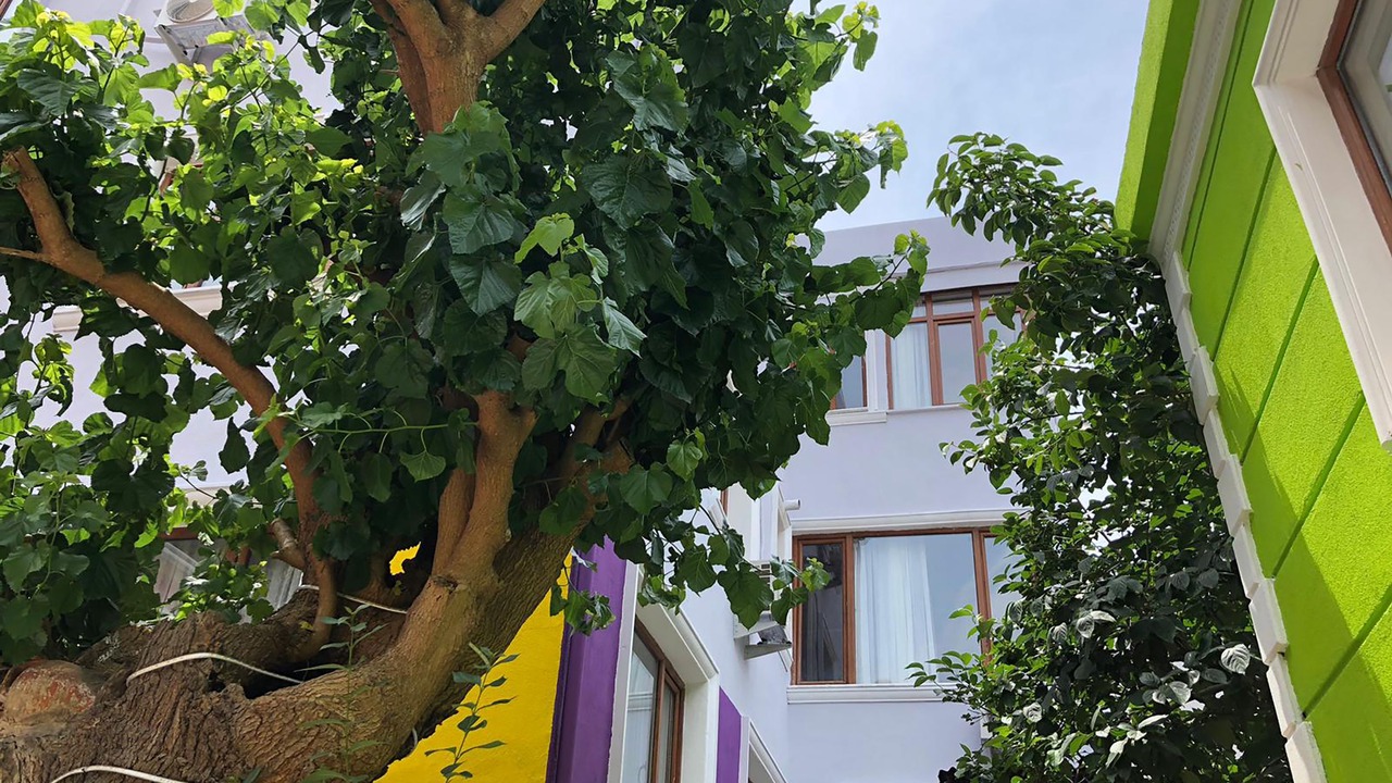 Photo of Outdoor in Sultanahmet