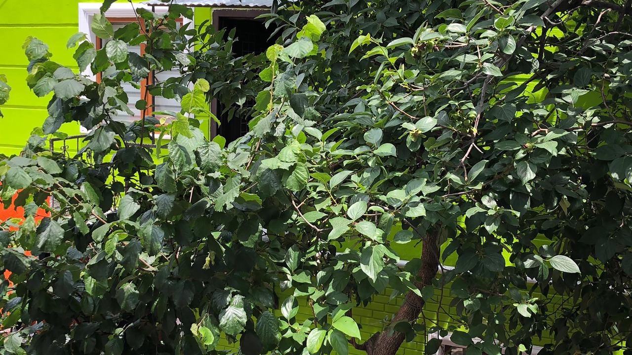 Photo of Outdoor in Sultanahmet