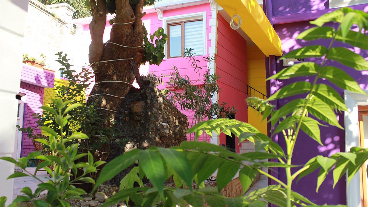 Photo of Outdoor in Sultanahmet