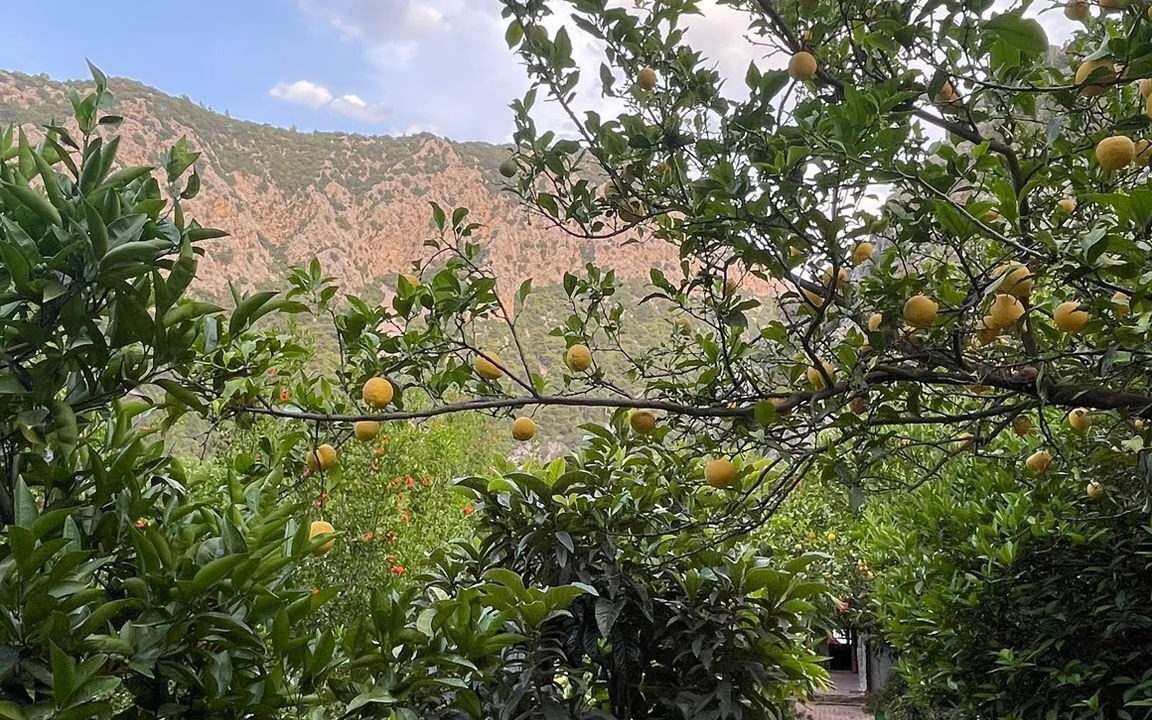Photo of Outdoor in Olympos