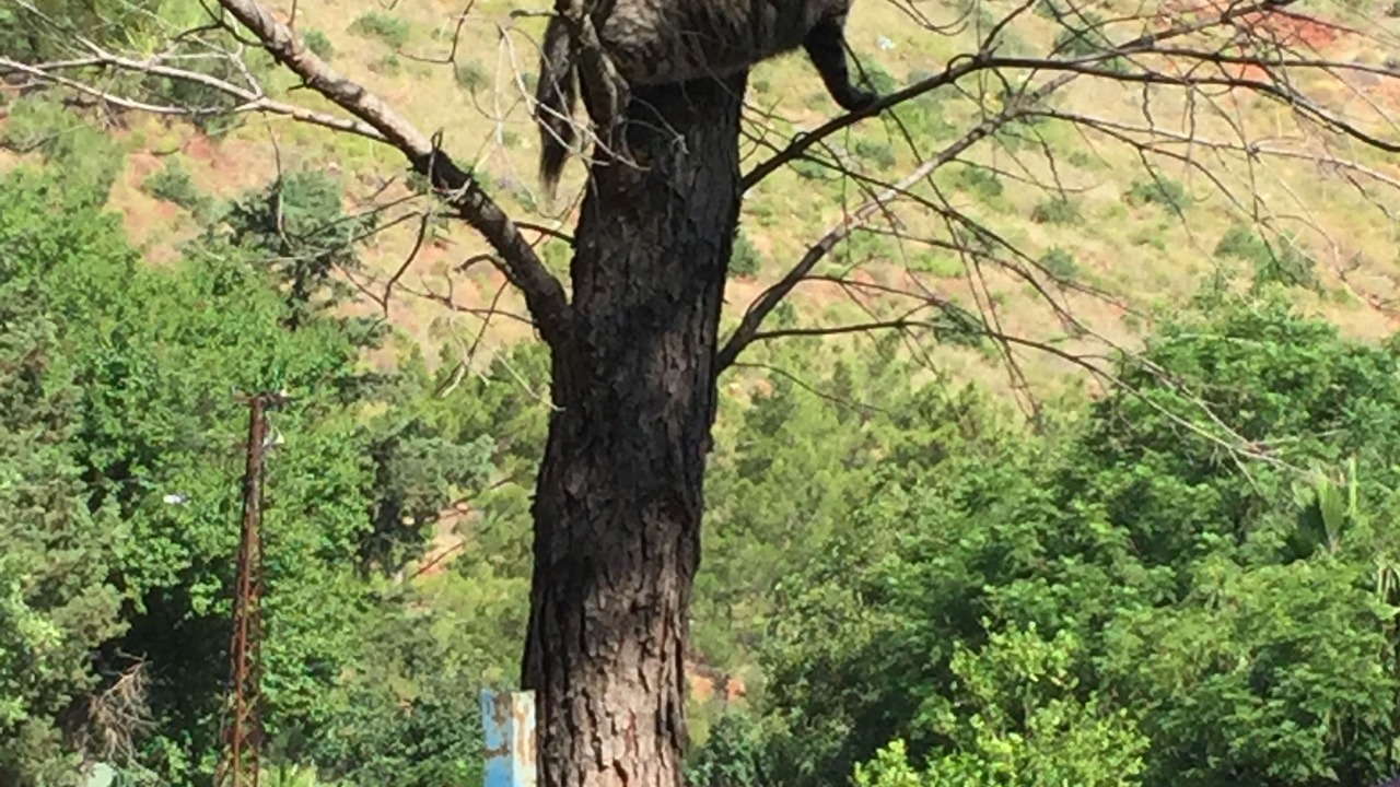 Photo of Outdoor in Adrasan
