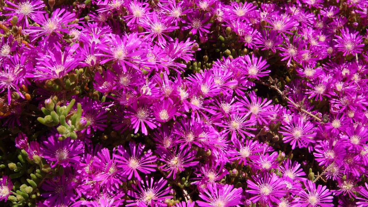 Photo of Outdoor in Camlıbel