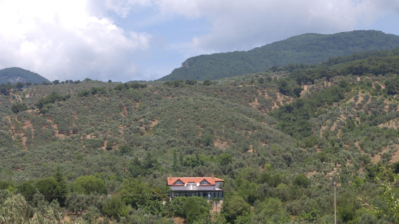 Photo of Outdoor in Camlıbel