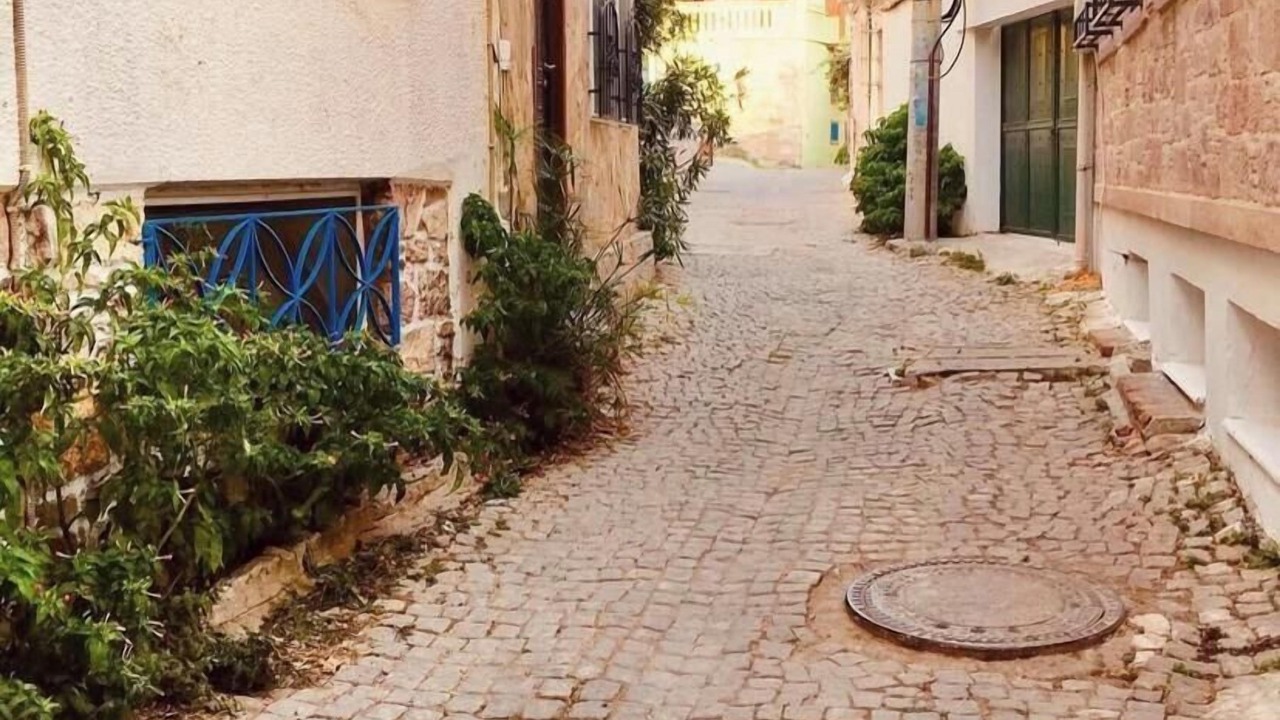 Photo of Outdoor in Ayvalik City Center