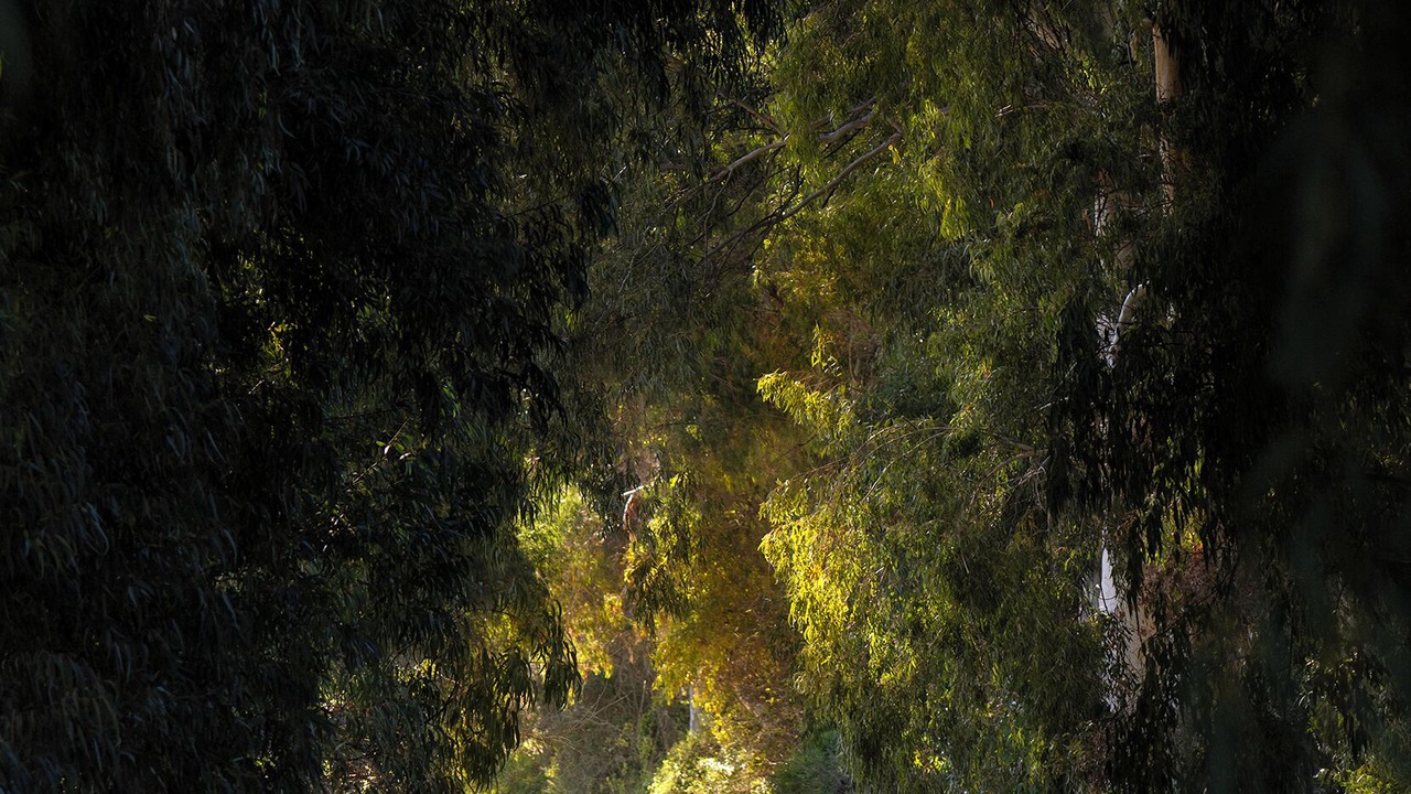 Photo of Others in Turgutkoy Koyu