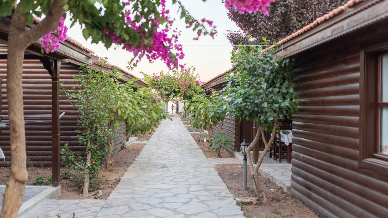 Photo of Outdoor in Palamutbuku