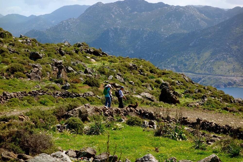 Photo of Others in Selimiye