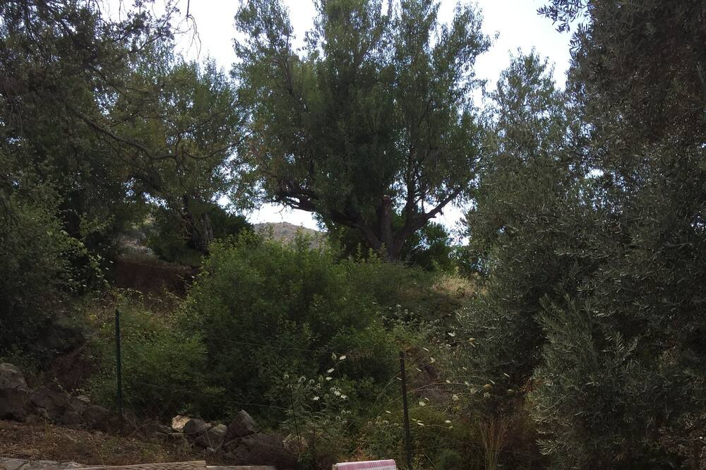 Photo of Outdoor in Selimiye